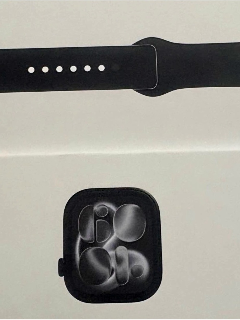 Apple Black Watch Band with Matching Black Earbuds Case